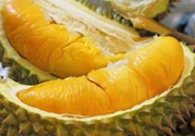 小孩能吃榴蓮嗎？榴蓮小孩能吃嗎？