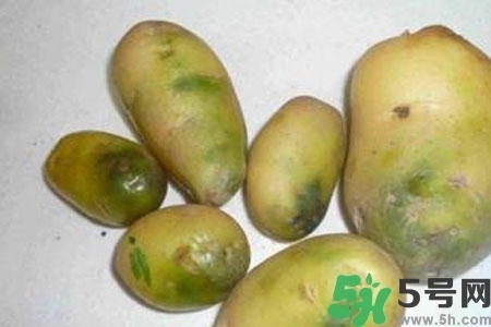 土豆發(fā)綠還能吃嗎？土豆發(fā)綠皮削皮后能吃嗎？