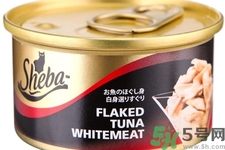 罐頭食品有哪些？罐頭食品含防腐劑嗎？