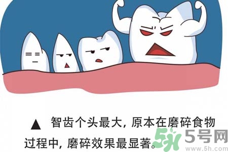 智齒拔完后有個洞怎么辦？拔智齒后有個洞多久能長好？