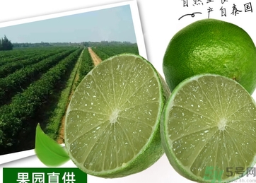 泰國(guó)檸檬怎么吃？泰國(guó)檸檬的功效作用