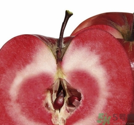 紅肉蘋(píng)果多少錢(qián)一斤？紅肉蘋(píng)果的功效作用