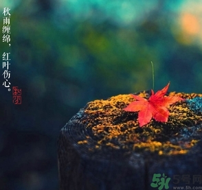 秋分做什么運(yùn)動好？秋分運(yùn)動注意事項(xiàng)