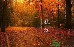 秋分做什么運(yùn)動好？秋分運(yùn)動注意事項(xiàng)
