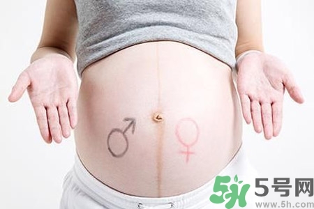 懷孕4個(gè)月肚子有多大？懷孕4個(gè)月需要注意什么？