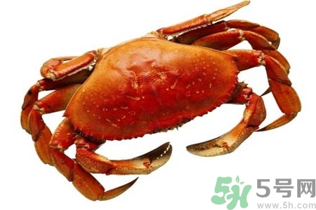 10月份吃螃蟹好嗎？10月份吃什么螃蟹？