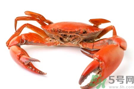 10月吃陽澄湖大閘蟹好嗎？大閘蟹怎么做好吃？