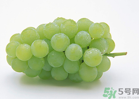 新鮮葡萄能放冰箱嗎？新鮮葡萄的保存方法