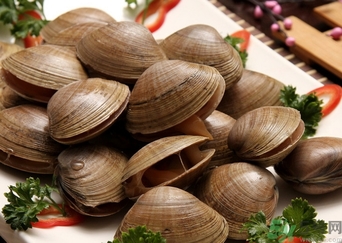 蜆子煮多長時間？蜆子怎么煮？