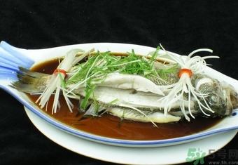 鱸魚是淡水魚還是海水魚？鱸魚是海魚嗎？