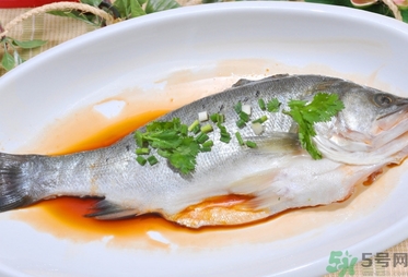 鱸魚是發(fā)物嗎？手術(shù)后可以吃鱸魚嗎？