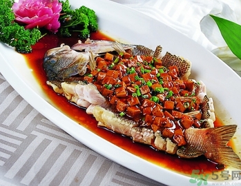 鱸魚和桂魚哪個(gè)好吃？鱸魚和桂魚的區(qū)別