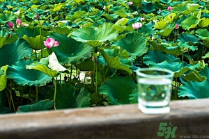 小蘇打能治癌癥嗎？蘇打水可以治癌癥嗎？