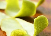 柚子皮能去冰箱異味嗎？為什么柚子皮能去除冰箱的異味？