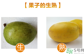 蛋黃果多少錢一斤？蛋黃果什么時候成熟？