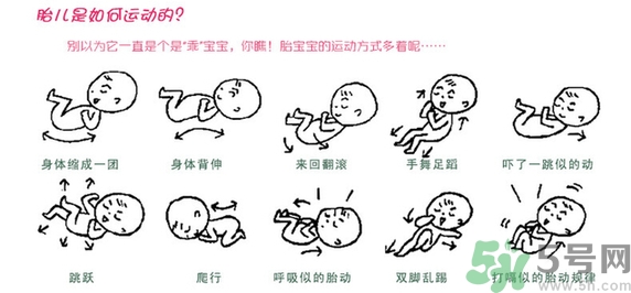 胎動怎么數(shù)最正確？胎動有什么規(guī)律？
