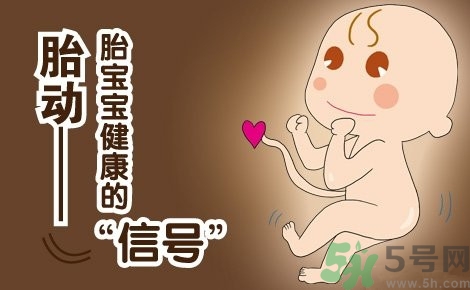 胎動怎么數(shù)最正確？胎動有什么規(guī)律？