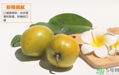 蛋黃果怎么催熟？生的蛋黃果如何催熟？