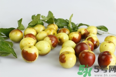 冬棗和紅棗的營(yíng)養(yǎng)價(jià)值哪個(gè)高？冬棗和紅棗哪個(gè)熱量高？