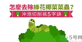 西蘭花里有蟲子怎么辦？花椰菜里面好多蟲怎么辦？