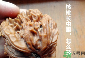 核桃長蟲了還能吃嗎？核桃長蟲子怎么處理？