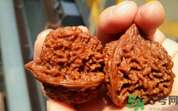 核桃長蟲了還能吃嗎？核桃長蟲子怎么處理？