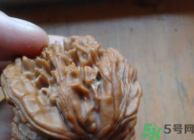 核桃長蟲了還能吃嗎？核桃長蟲子怎么處理？