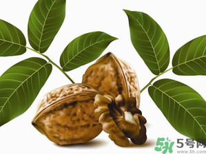 核桃一天吃幾個(gè)合適？核桃一天吃幾個(gè)最好？