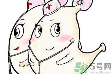 胃會(huì)餓小嗎？經(jīng)常肚子餓對(duì)胃有什么影響？