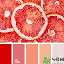 西柚色口紅的牌子哪款好？西柚色口紅有哪些牌子
