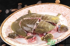 甲魚怎么殺？甲魚怎么處理？