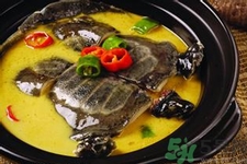 甲魚怎么殺？甲魚怎么處理？