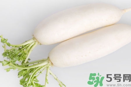 怎么挑白蘿卜好不好？挑選白蘿卜的小竅門