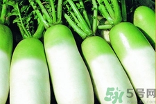 為什么冬吃蘿卜夏吃姜？冬天吃白蘿卜有什么好處？