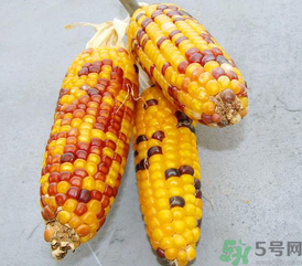 彩色玉米是轉(zhuǎn)基因嗎？彩色玉米能吃嗎？