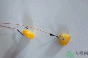 煮熟的玉米能釣魚(yú)嗎？煮熟的玉米能直接釣魚(yú)嗎？