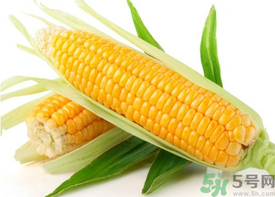 新鮮玉米怎么保存？鮮玉米怎么保存？
