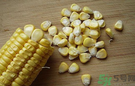 玉米?？梢葬炇裁呆~？玉米粒釣魚方法