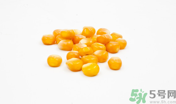 玉米?？梢葬炇裁呆~？玉米粒釣魚方法