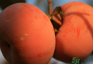 大柿子不能和什么同吃？大柿子和什么食物相克？