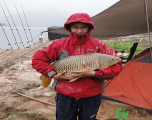 十月份可以釣魚嗎？十月份釣魚用什么餌料？