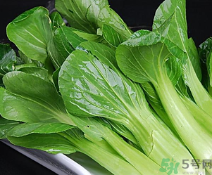 青菜可以放冰箱嗎？青菜能放冰箱保鮮嗎？
