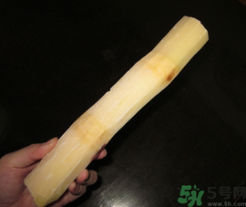 甘蔗可以放冰箱嗎？甘蔗放冰箱能保存多久？