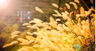 寒露吃什么好？寒露食療