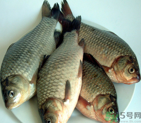 秋天釣鯽魚用什么餌料？秋天釣鯽魚用什么味餌？