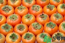 脆柿子是怎么做好吃？脆柿子的制作方法