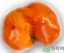 新鮮柿子皮可以吃嗎？吃了柿子皮怎么辦？