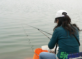 秋天釣鯉魚用什么味型？秋季釣鯉魚餌料味型