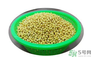 新鮮黃豆怎么保存？新鮮黃豆米如何保存？