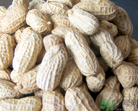 新鮮花生可以放冷凍嗎？新鮮花生可以放冰箱嗎？